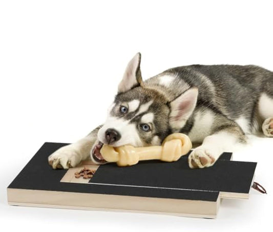 Dog Nail Board